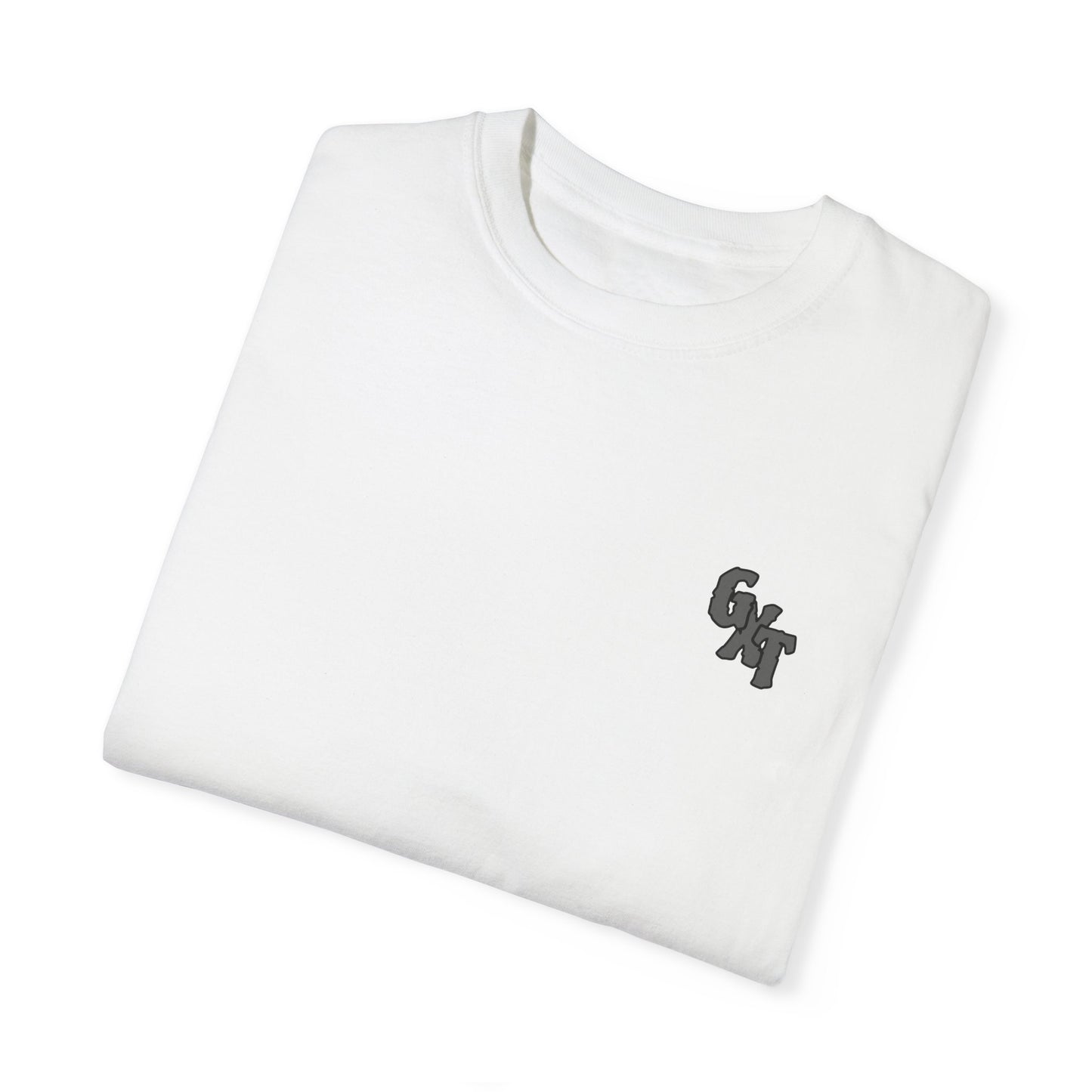 "I Ride with The Regulators" -  Graphic Tee Unisex Big T