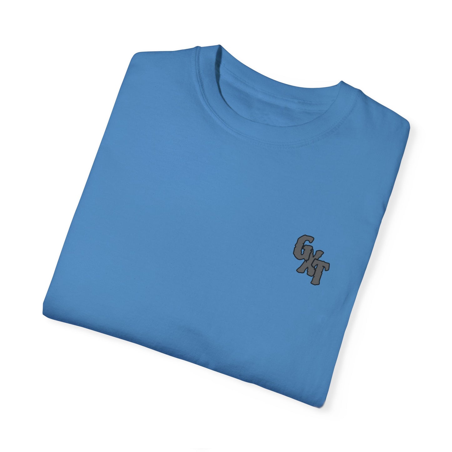 "I Ride with The Regulators" -  Graphic Tee Unisex Big T