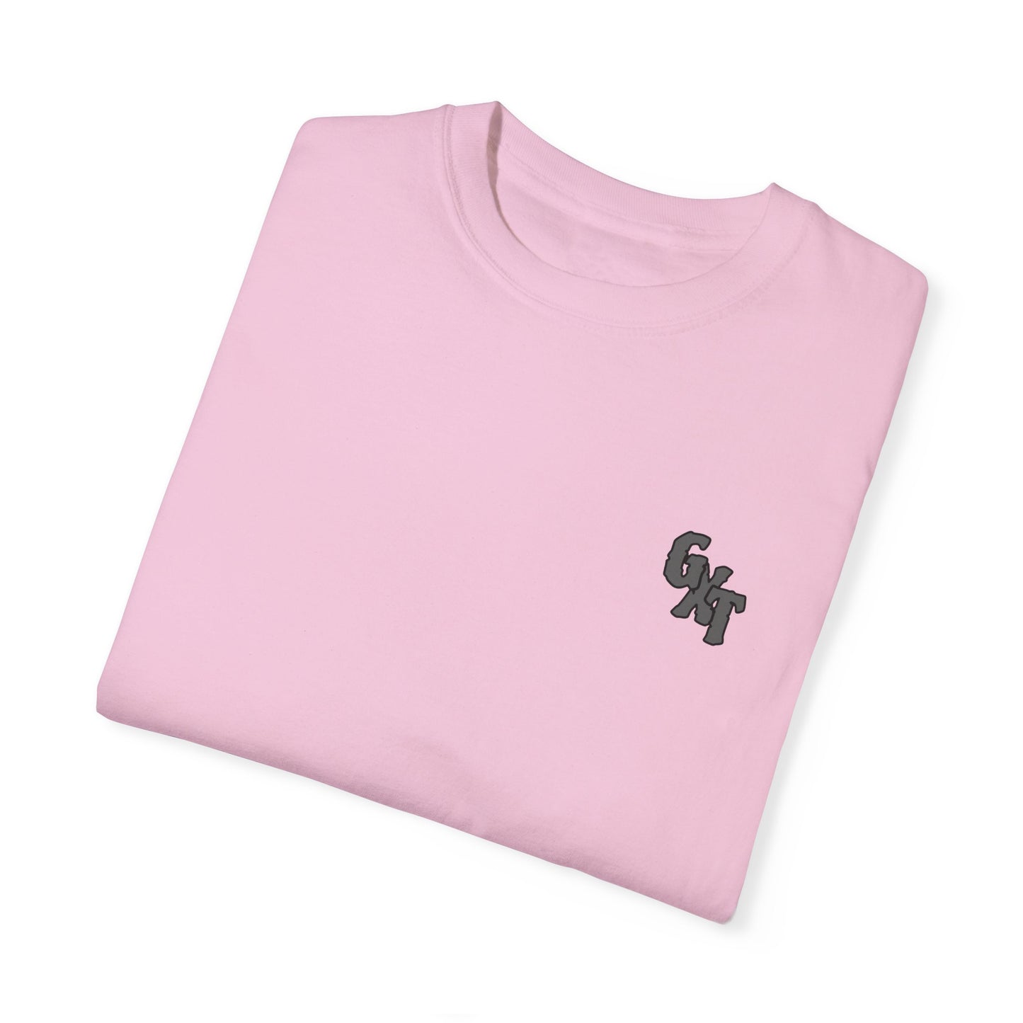 "I Ride with The Regulators" -  Graphic Tee Unisex Big T